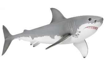 Die Grundlage Artrovex Haifisch-öl, das bekannt ist für seine regenerative Eigenschaften